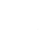 Ninja Grafico
